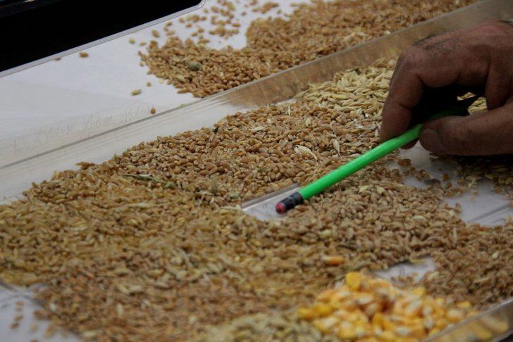 Tarım ve Orman Bakan Yardımcısı Yumaklı: "Türkiye'nin üretimi ihtiyaçlarına yetecek kadardır" G4