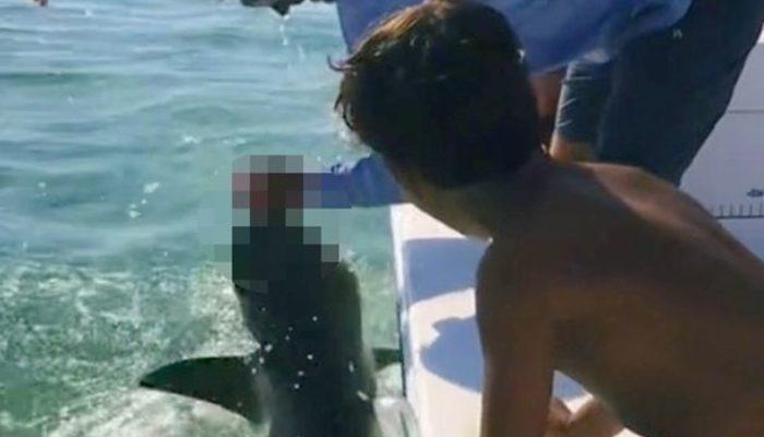 Oğlunun göz önünde baba köpek balığı saldırısına uğradı! Sinirlenen köpek balığı adamın parmağını koparttı