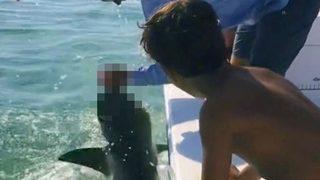 Oğlunun göz önünde baba köpek balığı saldırısına uğradı! Sinirlenen köpek balığı adamın parmağını koparttı