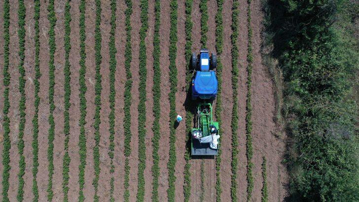 Kocaeli'de melisa hasadı başladı G1