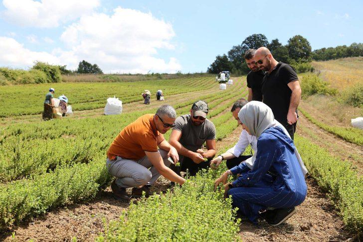 Kocaeli'de melisa hasadı başladı G3