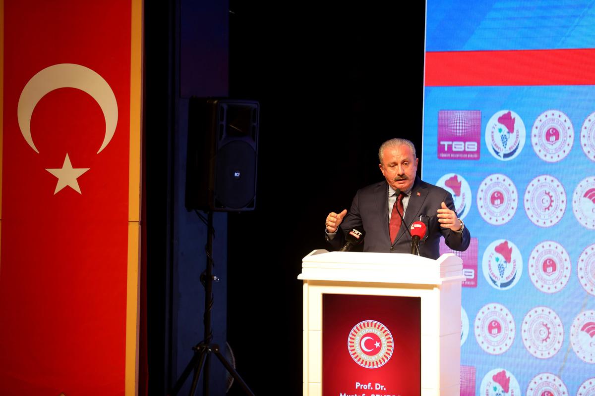 TBMM Başkanı Şentop, "Pandemi Sonrası B&ouml;lgesel Kalkınma Toplantıları"nda konuştu: (1)