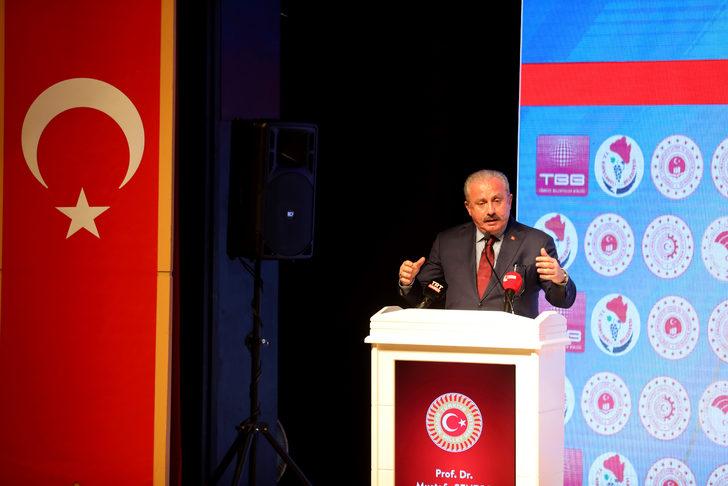 TBMM Başkanı Şentop, "Pandemi Sonrası Bölgesel Kalkınma Toplantıları"nda konuştu: (1) G1