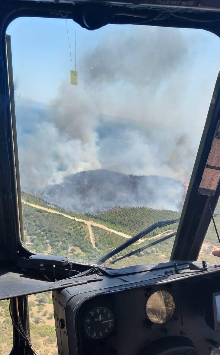 GÜNCELLEME - İzmir'de çıkan orman yangınlarına müdahale ediliyor G3