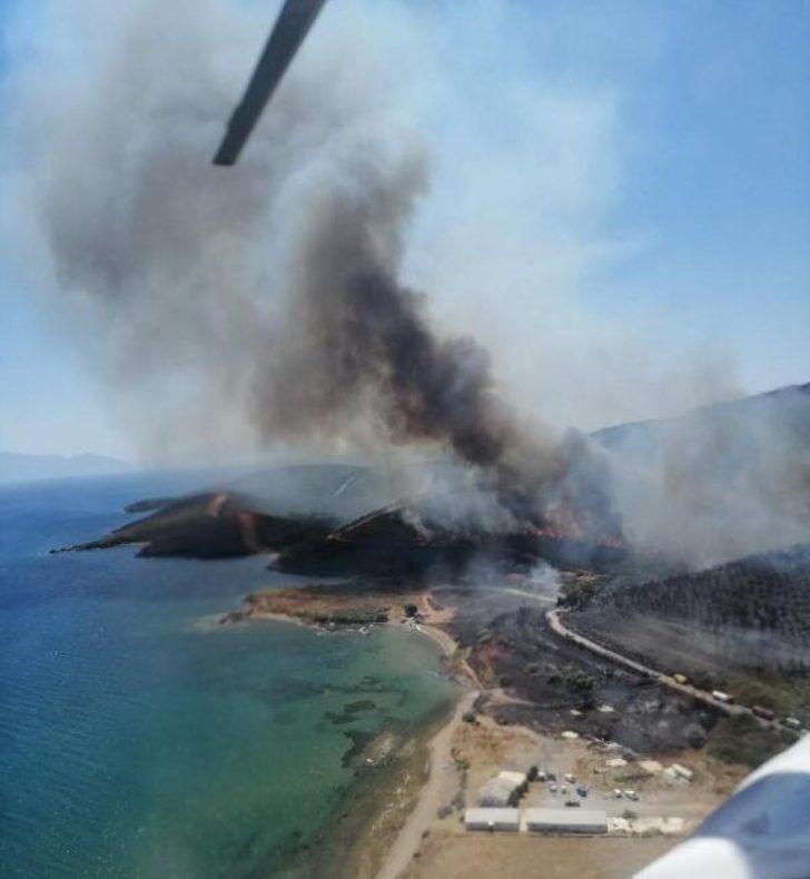 SON DAKİKA | İzmir Seferihisar'da orman yangını!  Biri 5 diğeri 7 saat sonra söndürülebildi G4