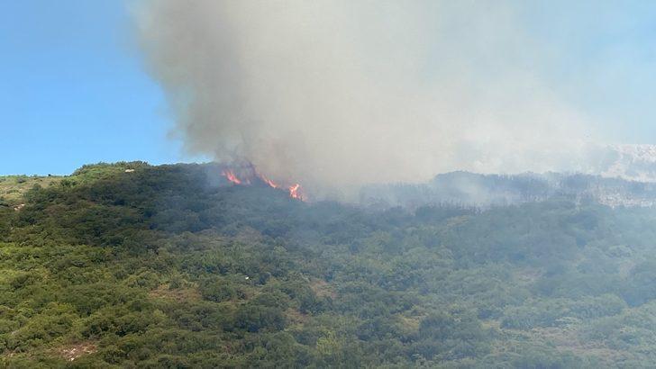 Tekirdağ'da makilik alanda çıkan yangın söndürüldü G2