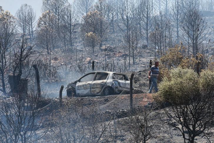 GÜNCELLEME 2 - İzmir'de çıkan orman yangınlarına müdahale ediliyor G5