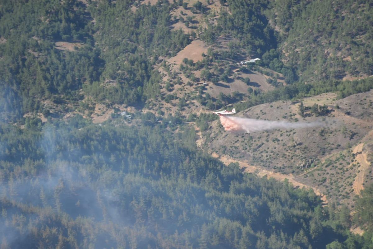 G&Uuml;NCELLEME 2 - Adana'da &ccedil;ıkan orman yangını kontrol altına alındı