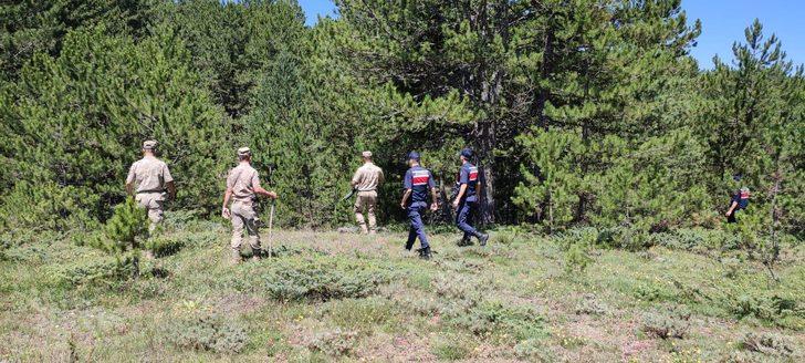 Kastamonu'da mantar toplaya gittiği ormanda kaybolan kişi bulundu G1