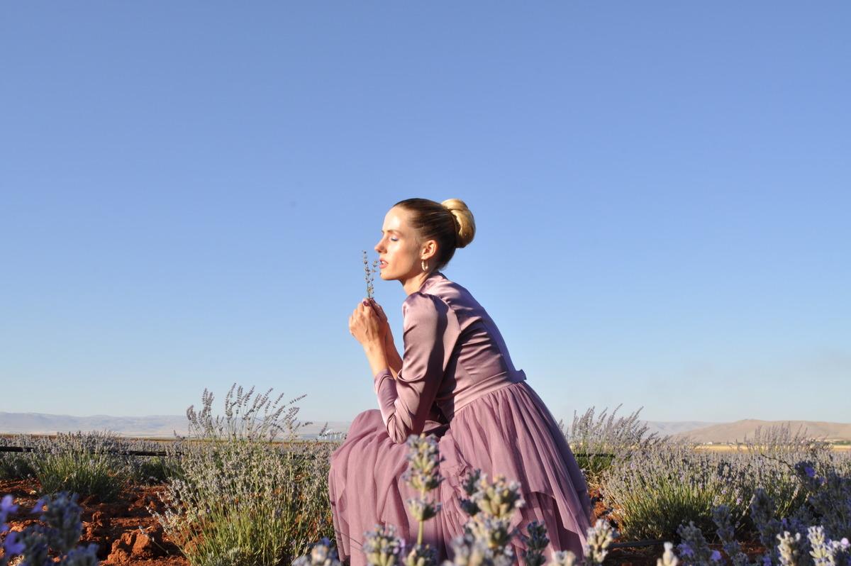 Kahramanmaraş'ta festival kapsamında lavanta hasadı yapıldı