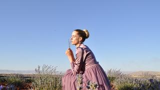 Kahramanmaraş'ta festival kapsamında lavanta hasadı yapıldı