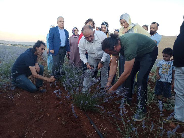 Şarkıcı Kıraç, Kahramanmaraş'ta lavanta hasadına katıldı G2