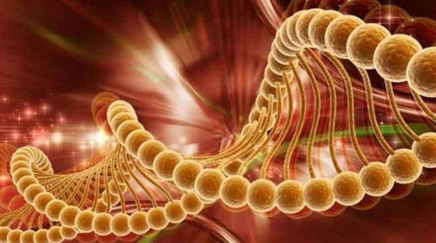 Kanser hastalığı ve nöroloji