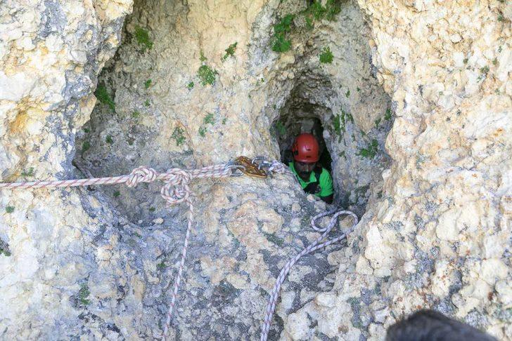 Mersin'de obruğa düşen keçiyi itfaiye kurtardı G1