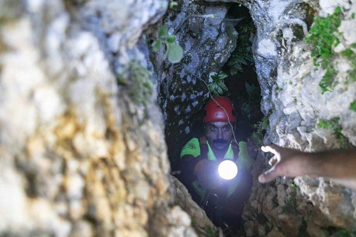 Mersin'de obruğa düşen keçiyi itfaiye kurtardı G2