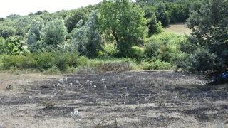 Samsun'da çıkan anız yangını söndürüldü