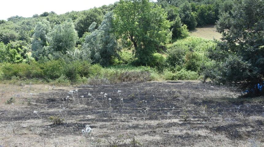 Samsun'da çıkan anız yangını söndürüldü