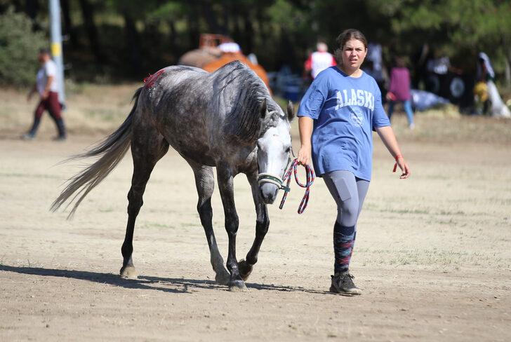 Uluslararası ve Ulusal Atlı Dayanıklılık Yarışmaları Çanakkale'de sürüyor G1