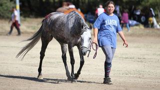 Uluslararası ve Ulusal Atlı Dayanıklılık Yarışmaları Çanakkale'de sürüyor