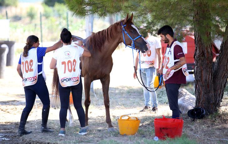 Uluslararası ve Ulusal Atlı Dayanıklılık Yarışmaları Çanakkale'de sürüyor G3