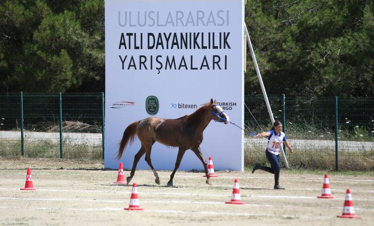 Uluslararası ve Ulusal Atlı Dayanıklılık Yarışmaları Çanakkale'de sürüyor G4