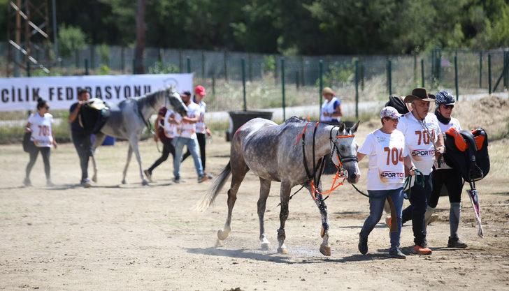 Uluslararası ve Ulusal Atlı Dayanıklılık Yarışmaları Çanakkale'de sürüyor G5