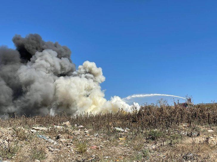 Adana'da ağaçlık alanda çıkan yangın söndürüldü G1