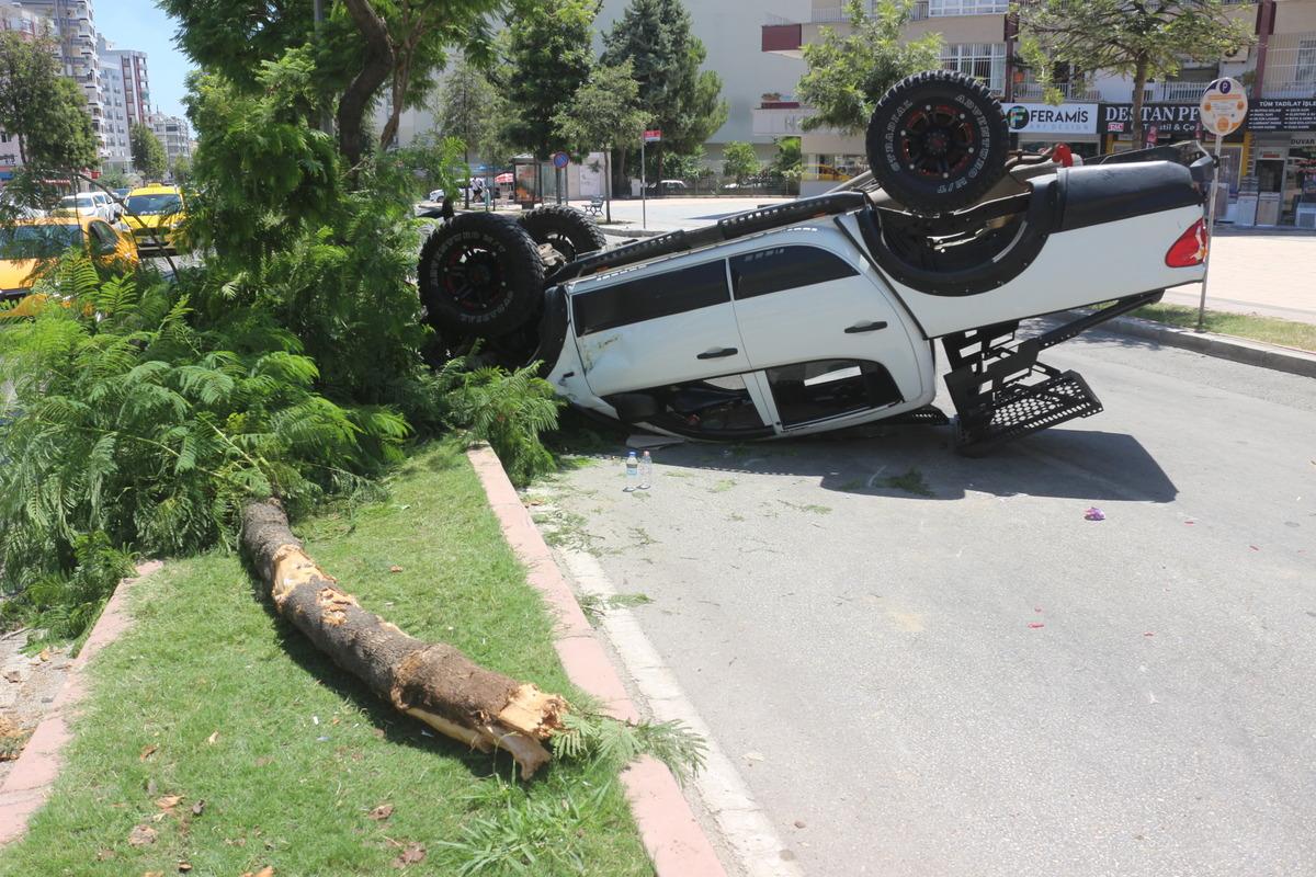 Adana'da ref&uuml;jdeki ağaca &ccedil;arpan ara&ccedil;taki 4 kişi yaralandı