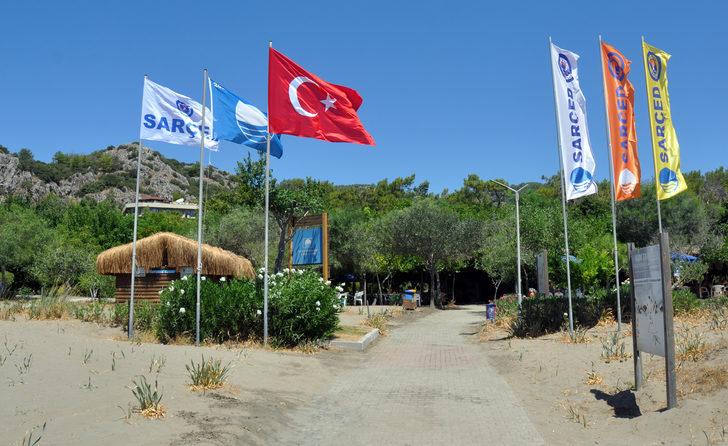 Muğla'daki kum zambaklarıyla ünlü halk plajına "Caretta Dostu Plaj" unvanı verildi G1