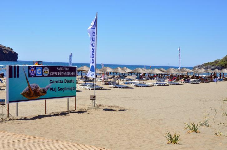 Muğla'daki kum zambaklarıyla ünlü halk plajına "Caretta Dostu Plaj" unvanı verildi G2