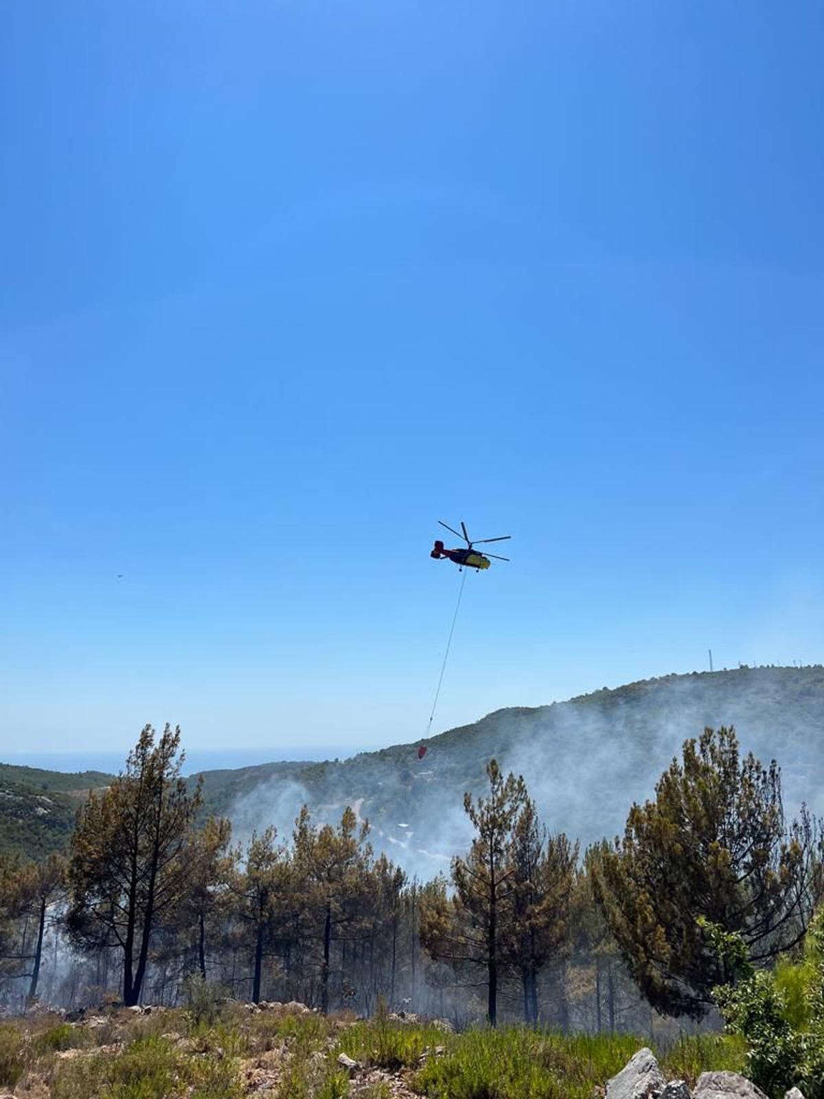Alanya'da zirai ve ormanlık alanda &ccedil;ıkan yangın s&ouml;nd&uuml;r&uuml;ld&uuml;