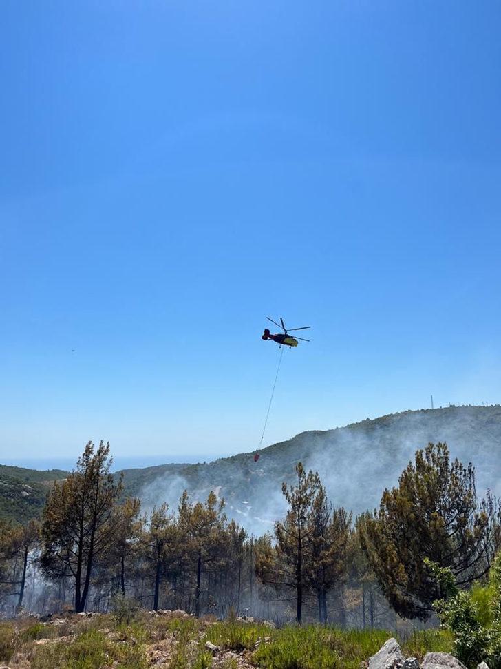 Alanya'da zirai ve ormanlık alanda çıkan yangın söndürüldü G1