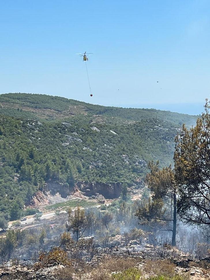 Alanya'da zirai ve ormanlık alanda çıkan yangın söndürüldü G2
