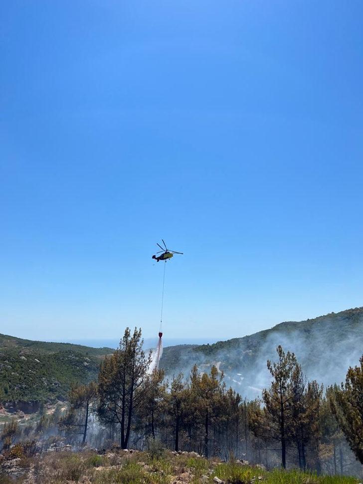 Alanya'da zirai ve ormanlık alanda çıkan yangın söndürüldü G3