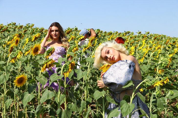 Tekirdağ'da ayçiçeği tarlasında foto safari düzenlendi G3