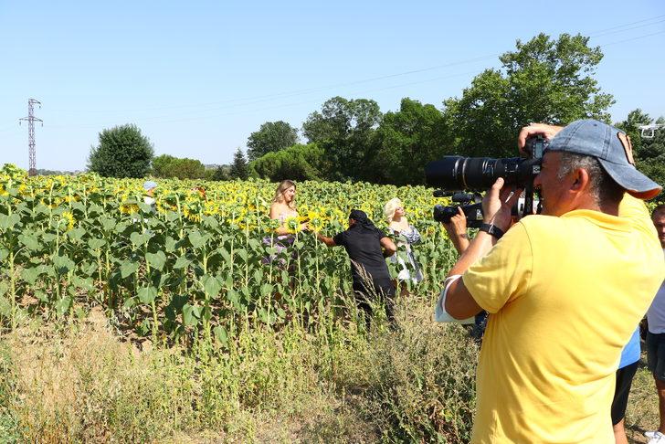 Tekirdağ'da ayçiçeği tarlasında foto safari düzenlendi G4