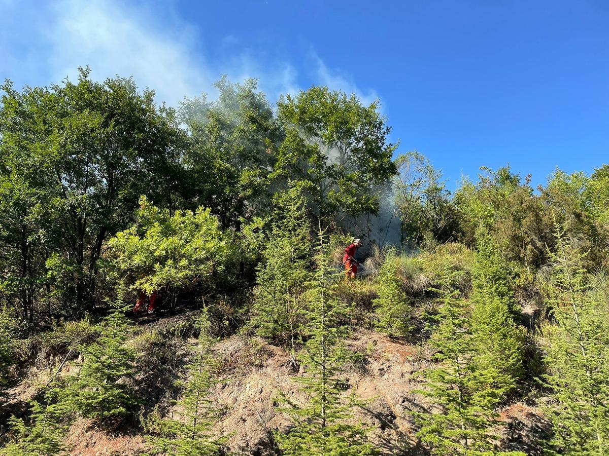 Kocaeli'de &ccedil;ıkan &ouml;rt&uuml; yangınına m&uuml;dahale ediliyor