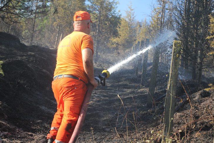 Kocaeli'de çıkan örtü yangınına müdahale ediliyor G2