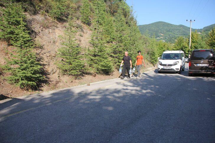 GÜNCELLEME 2 - Kocaeli'de çıkan örtü yangını kontrol altına alındı G2