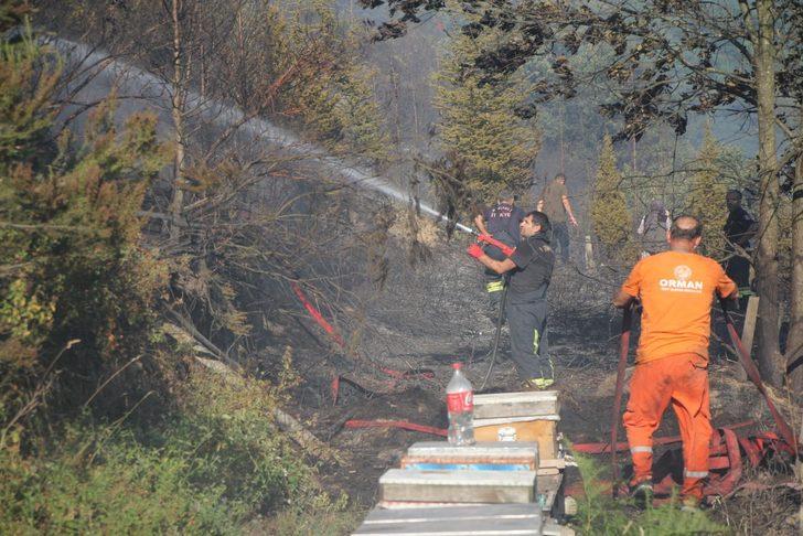 GÜNCELLEME 2 - Kocaeli'de çıkan örtü yangını kontrol altına alındı G4