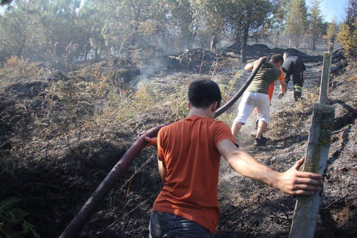 Kocaeli'de çıkan örtü yangınına müdahale ediliyor G3