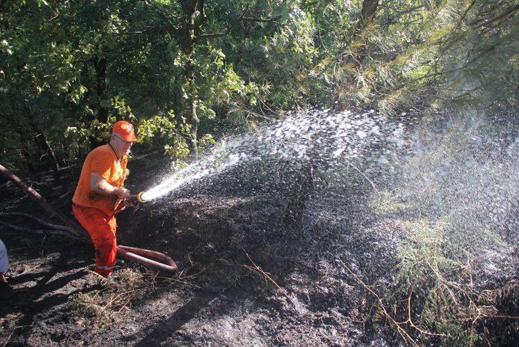 GÜNCELLEME 2 - Kocaeli'de çıkan örtü yangını kontrol altına alındı G3