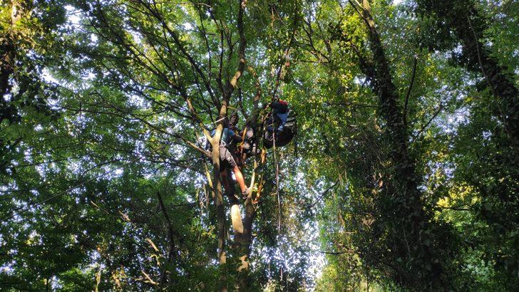 Sakarya'da ağaçlara takılan paraşütçü, AFAD ekibince kurtarıldı G3