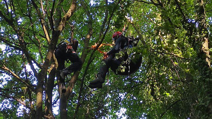 Sakarya'da ağaçlara takılan paraşütçü, AFAD ekibince kurtarıldı G4