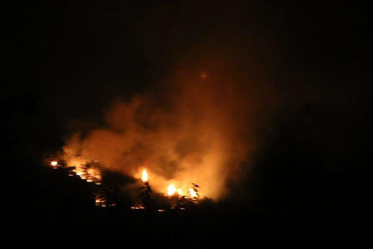 Adana'da orman yangını! Şiddetli rüzgar nedeniyle kısa sürede büyüdü G5