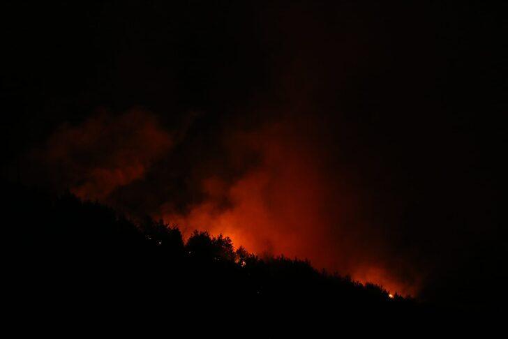 Adana'da orman yangını! Şiddetli rüzgar nedeniyle kısa sürede büyüdü G2