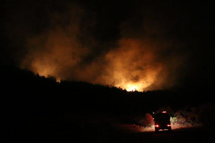 Adana'da orman yangını! Şiddetli rüzgar nedeniyle kısa sürede büyüdü G4