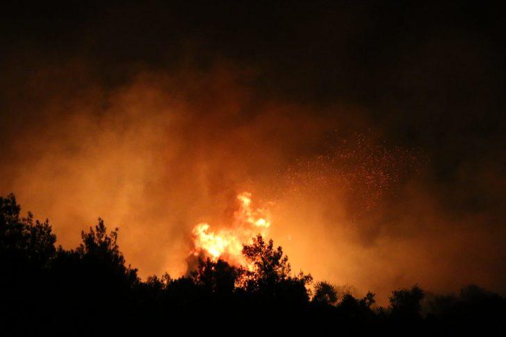 Adana'da orman yangını! Şiddetli rüzgar nedeniyle kısa sürede büyüdü G1