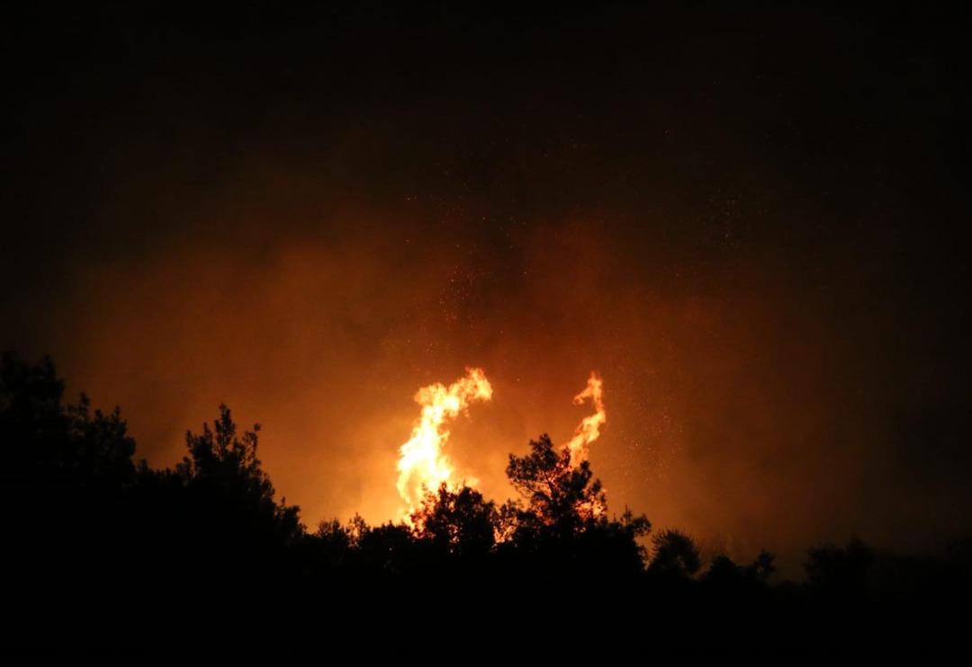 Adana'da orman yangını! Şiddetli r&uuml;zgar nedeniyle kısa s&uuml;rede b&uuml;y&uuml;d&uuml;