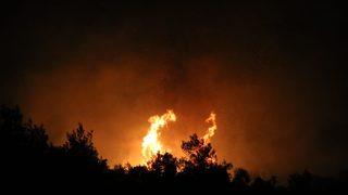 Adana'da orman yangını! Şiddetli rüzgar nedeniyle kısa sürede büyüdü
